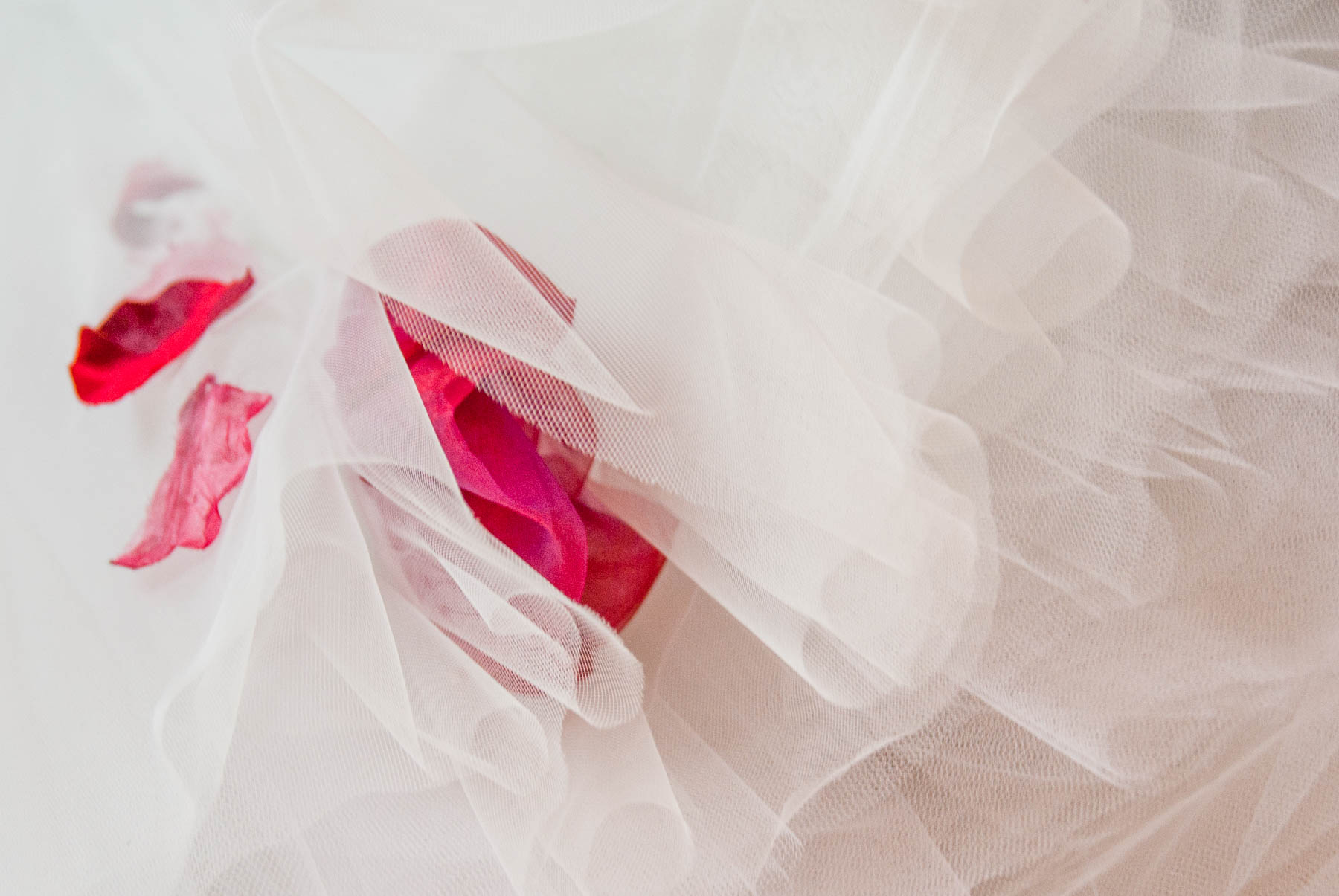 09_shooting_novembre_2018_142