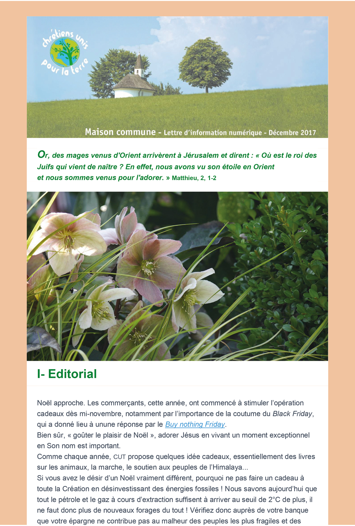 RS ECO  06 CUT décembre 2017 1