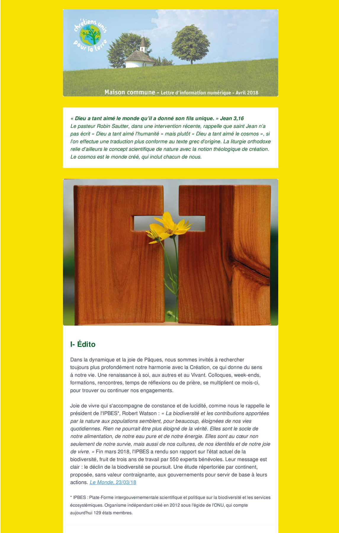 RS ECO  07 CUT NL avril2018 1