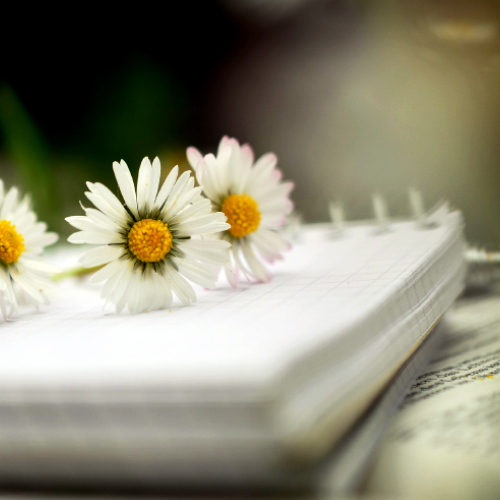 Dossiers  de   presse