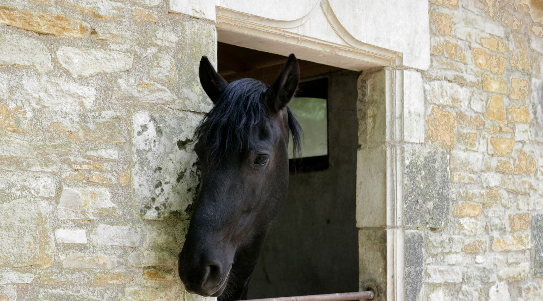 CHAMP FORTS  18 champsforts14