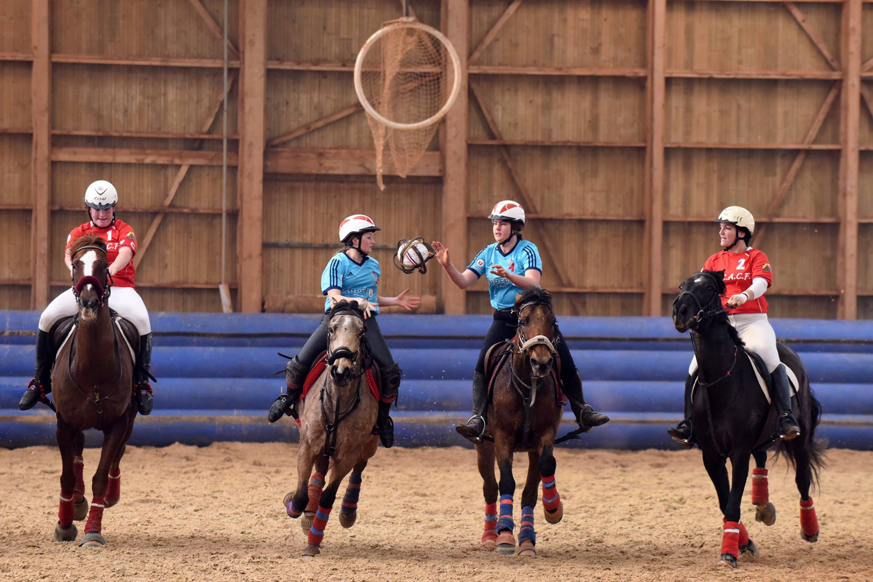 CHAMP FORTS  24 champsforts15