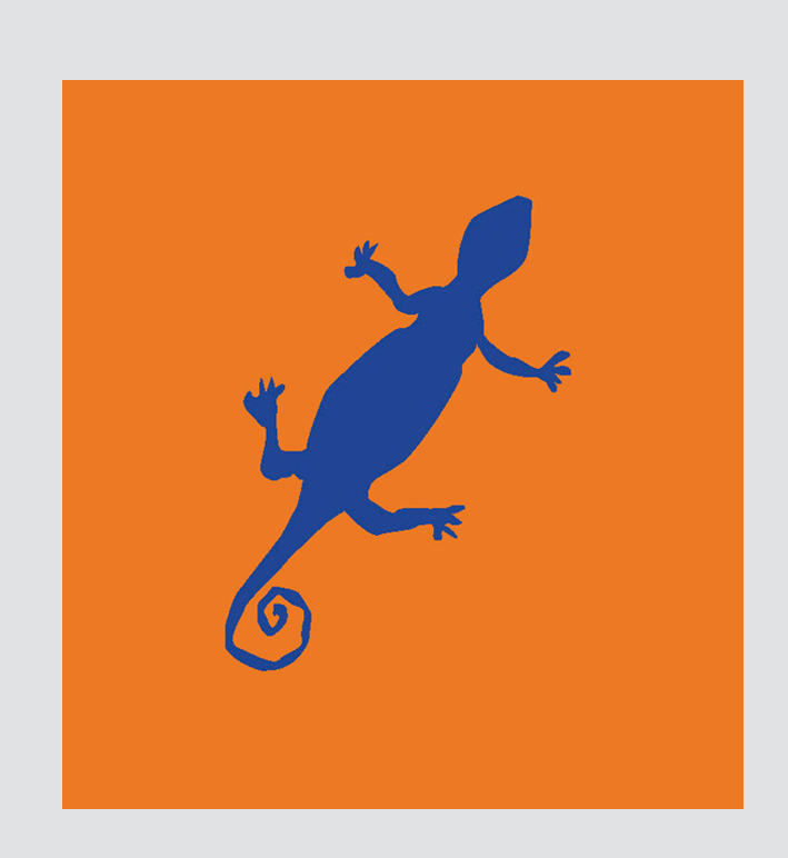 ANISE  08 anise gecko