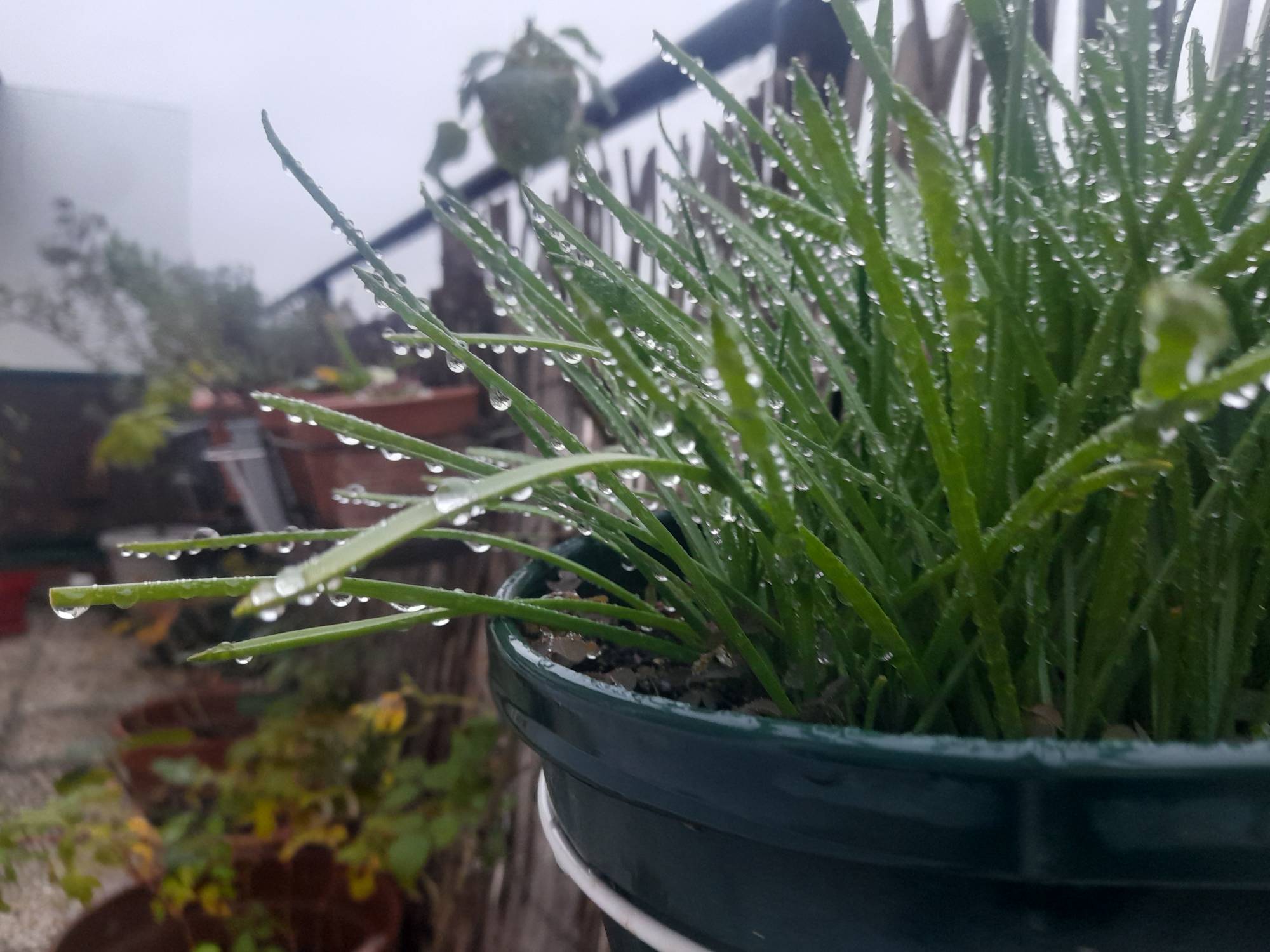 PHOTOS  08 terrasse 1