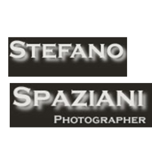 PHOTOGRAPHES  16 logo s spaziani